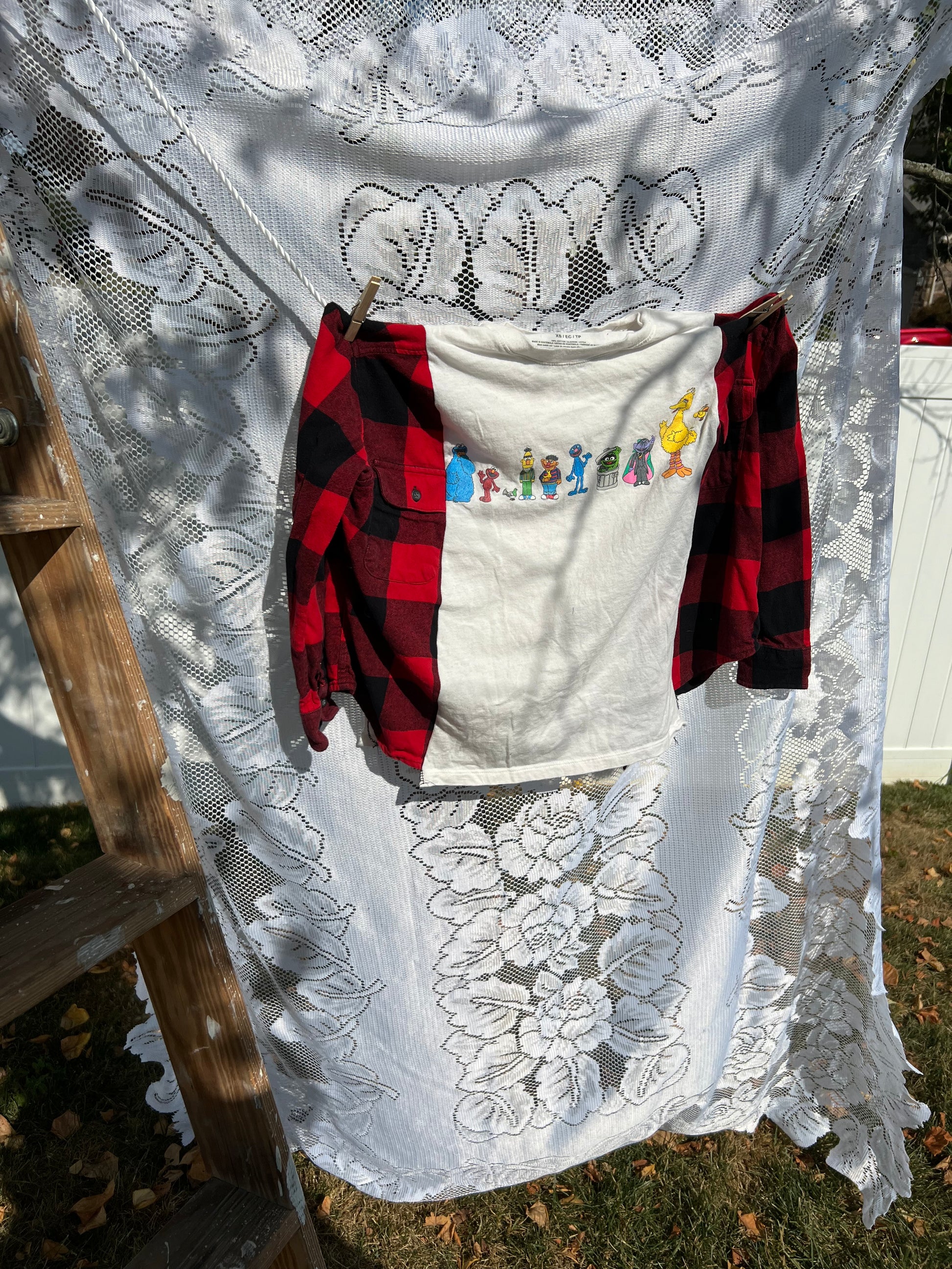 Youth xl Sesame Street   flannel