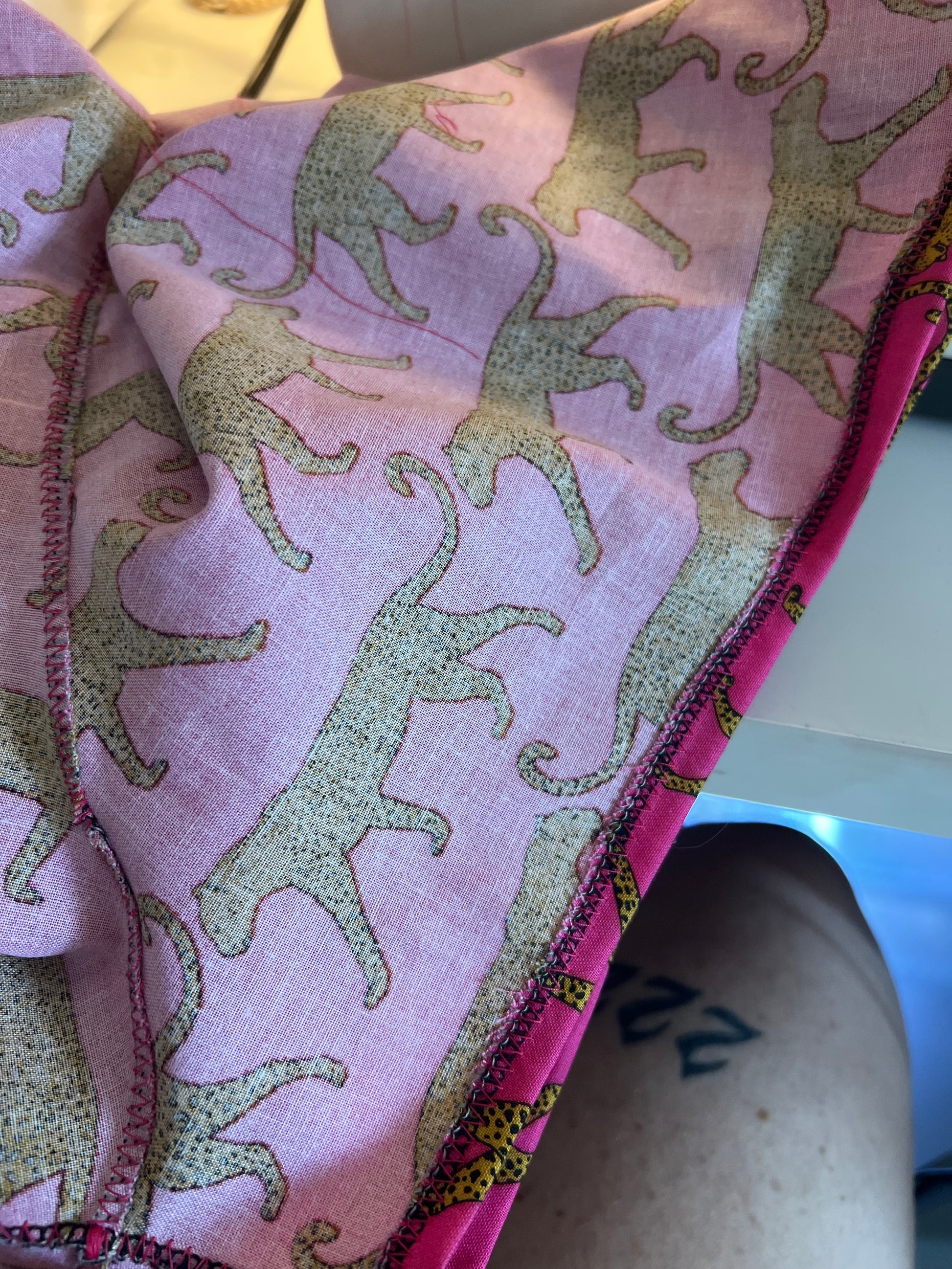Cheetah boxers